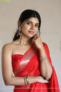 Gayathri Ramana at Mansion House Mallesh Press Meet