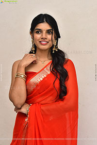 Gayathri Ramana at Mansion House Mallesh Press Meet