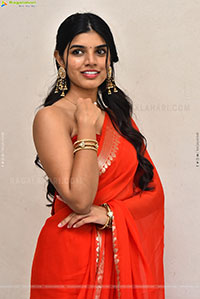 Gayathri Ramana at Mansion House Mallesh Press Meet