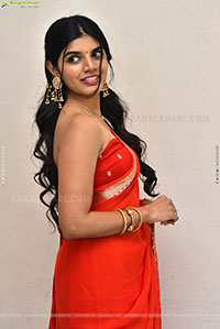 Gayathri Ramana at Mansion House Mallesh Press Meet