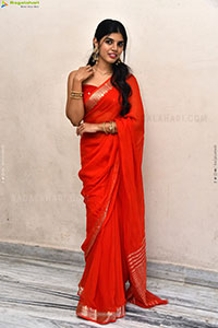 Gayathri Ramana at Mansion House Mallesh Press Meet