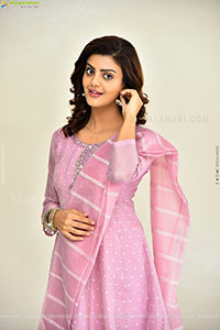 Meera Raj at Son Of Movie Success Meet, HD Gallery 