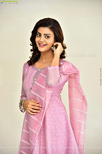 Meera Raj at Son Of Movie Success Meet, HD Gallery 