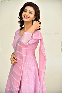 Meera Raj at Son Of Movie Success Meet, HD Gallery 