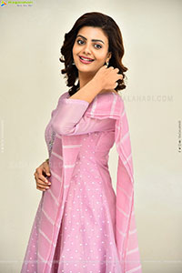 Meera Raj at Son Of Movie Success Meet, HD Gallery 