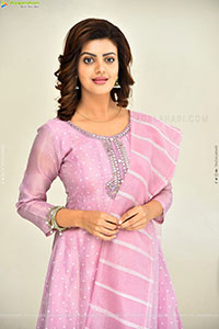 Meera Raj at Son Of Movie Success Meet, HD Gallery 