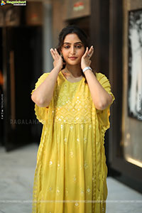 Reba Monica John at Mrithyunjay Movie Pressmeet, HD Gallery 