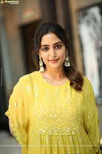 Reba Monica John at Mrithyunjay Movie Pressmeet, HD Gallery 