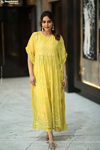 Reba Monica John at Mrithyunjay Movie Pressmeet, HD Gallery 