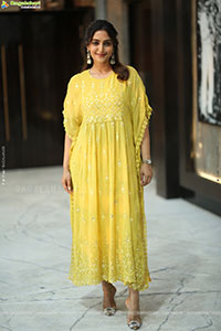 Reba Monica John at Mrithyunjay Movie Pressmeet, HD Gallery 