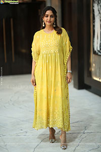 Reba Monica John at Mrithyunjay Movie Pressmeet, HD Gallery 