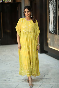 Reba Monica John at Mrithyunjay Movie Pressmeet, HD Gallery 