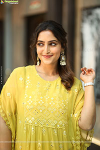 Reba Monica John at Mrithyunjay Movie Pressmeet, HD Gallery 