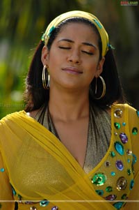 Mumaith Khan Spicy Stills from Target