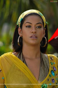 Mumaith Khan Spicy Stills from Target