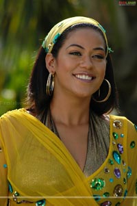 Mumaith Khan Spicy Stills from Target