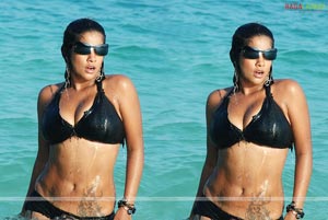 Mumaith Khan Spicy Photo Gallery