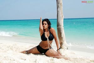 Mumaith Khan Spicy Photo Gallery