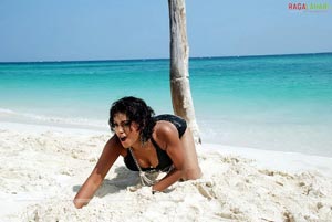 Mumaith Khan Spicy Photo Gallery