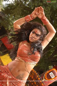 Mumaith Khan Spicy Photo Gallery