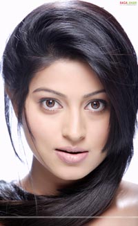 Sneha Portfolio Pictures