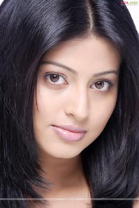 Sneha Portfolio Pictures