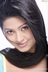 Sneha Portfolio Pictures