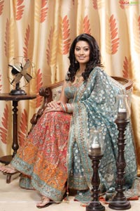 Sneha Portfolio Pictures