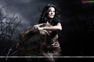 Sneha Portfolio Pictures