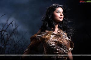 Sneha Portfolio Pictures