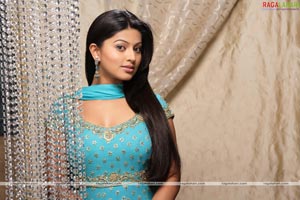 Sneha Portfolio Pictures