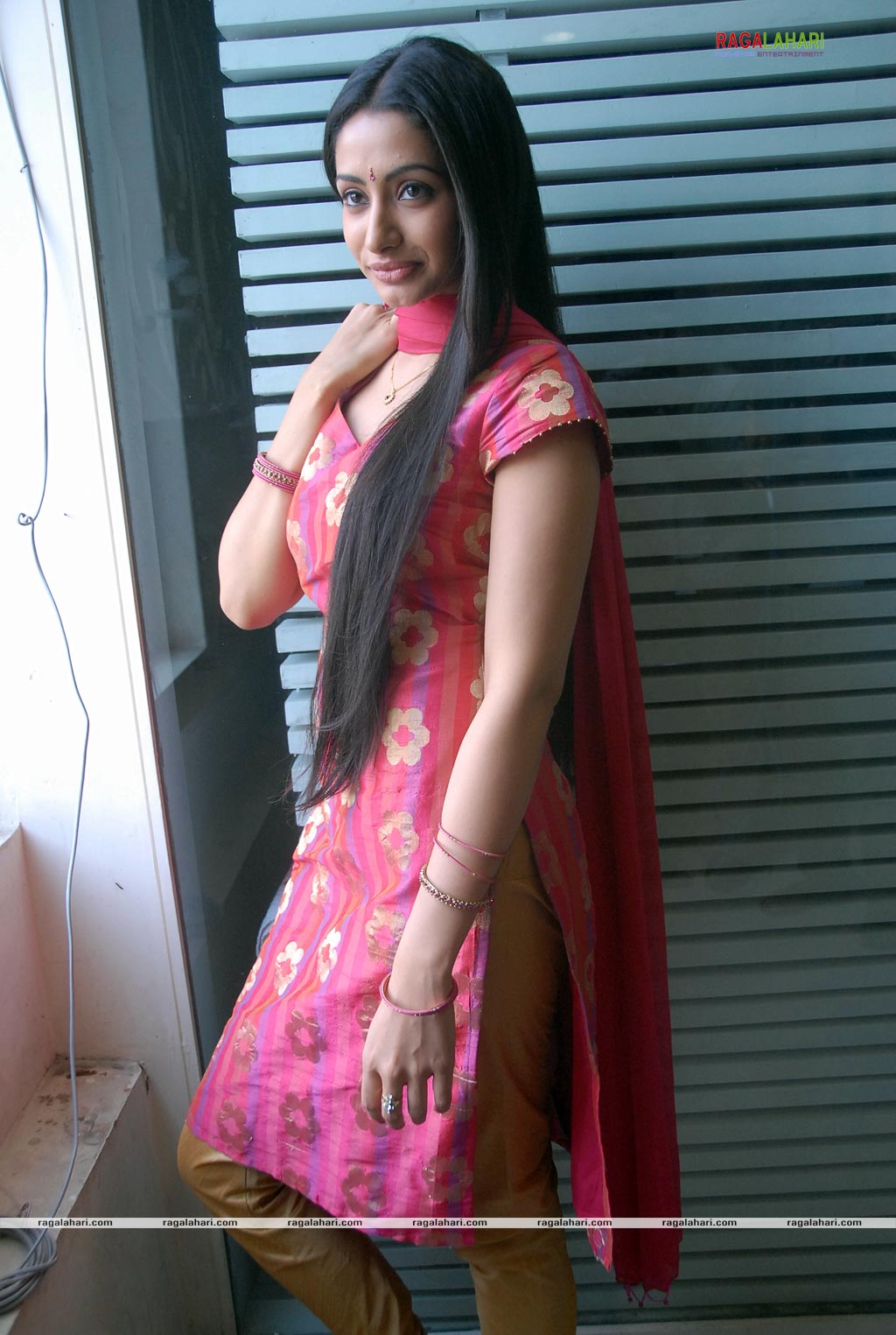 Anitha Gallery at Marocharitra Press Meet