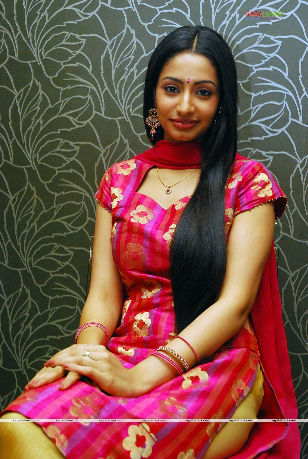 Anitha Gallery at Marocharitra Press Meet