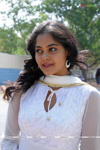 Bindu Madhavi Photo Gallery from Pratiroju