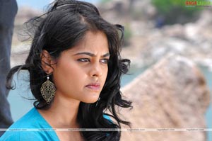 Bindu Madhavi Photo Gallery from Pratiroju