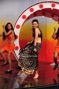 Hansika Photo Gallery