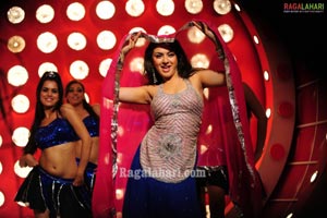 Hansika Photo Gallery