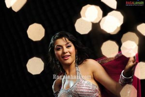 Hansika Photo Gallery