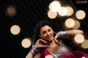 Hansika Photo Gallery