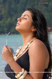 Namitha Photo Gallery from 1977