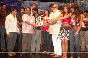 Bujjigadu Triple Platinum Disc Function