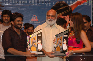 Bujjigadu Triple Platinum Disc Function