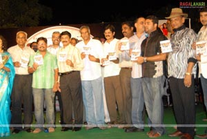 Call Centre Audio Release