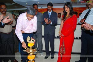 Ileana at Kukatpally Khazana Launch