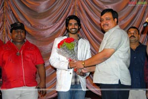 Kalidasu Double Platinum Disc Function