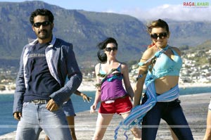 NTR, Hansika, Tanisha