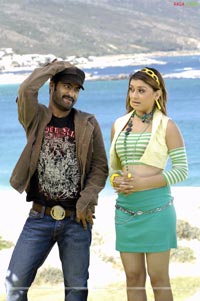 NTR, Hansika, Tanisha