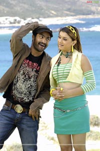 NTR, Hansika, Tanisha