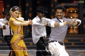 NTR, Hansika, Tanisha