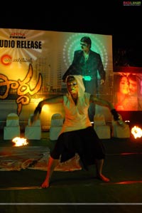 Pardhu Audio Release